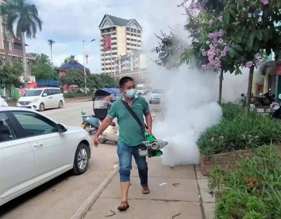 景洪登革热最新动态及小巷深处的独特风情与隐藏瑰宝