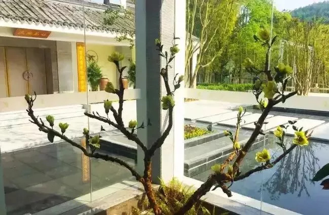 弼时征收最新动态，自然美景的探索之旅启动