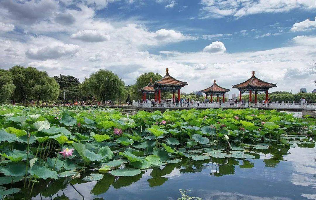 兴森科技最新公告，启程自然美景探索之旅