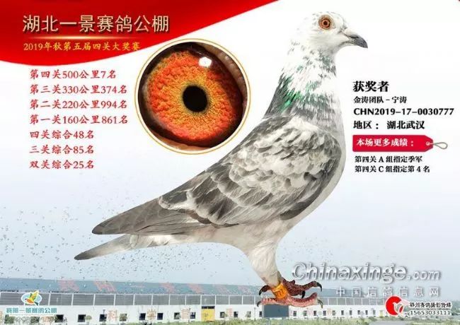 宏翔公棚开启新篇章，铸就辉煌历程的公告