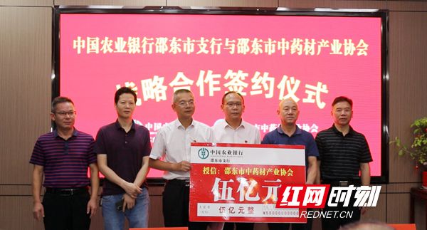 邵东红网最新新闻速递，掌握获取步骤指南