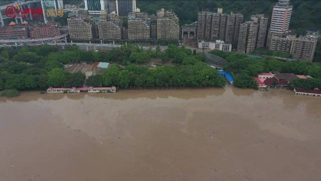 重庆洪水最新视频，城市洪水奇遇记