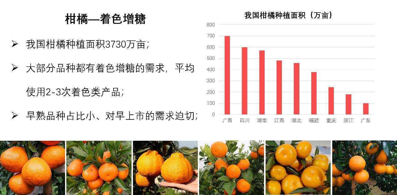 柑橘最新价格行情报告