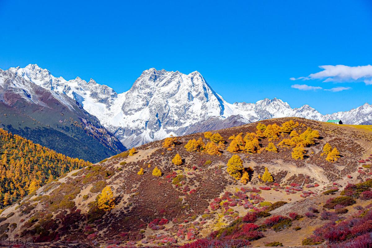 旅游攻略比赛，争夺旅行达人荣誉之巅