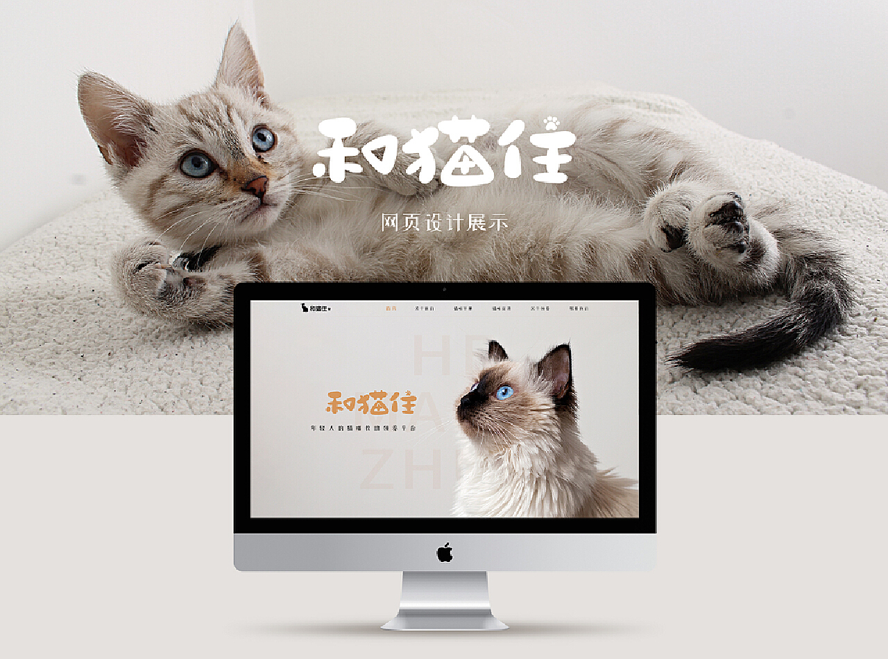 猫站资讯速递最新动态✨