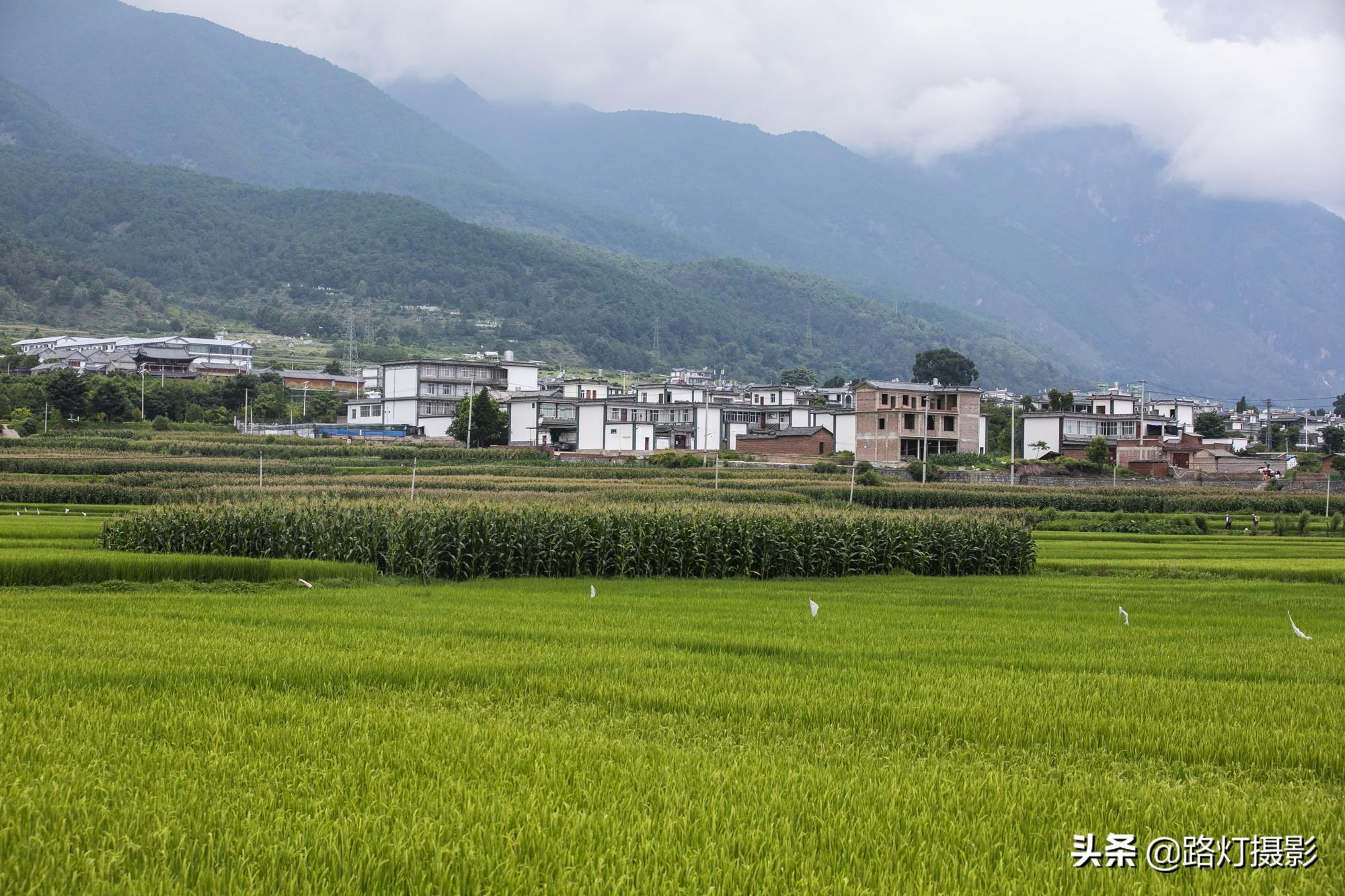 大理高铁最新动态，启程探寻自然美景的诗意之旅