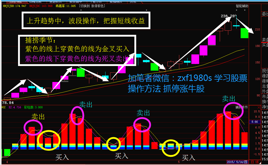 300017股票投资全攻略，初学者与进阶用户的投资步骤指南