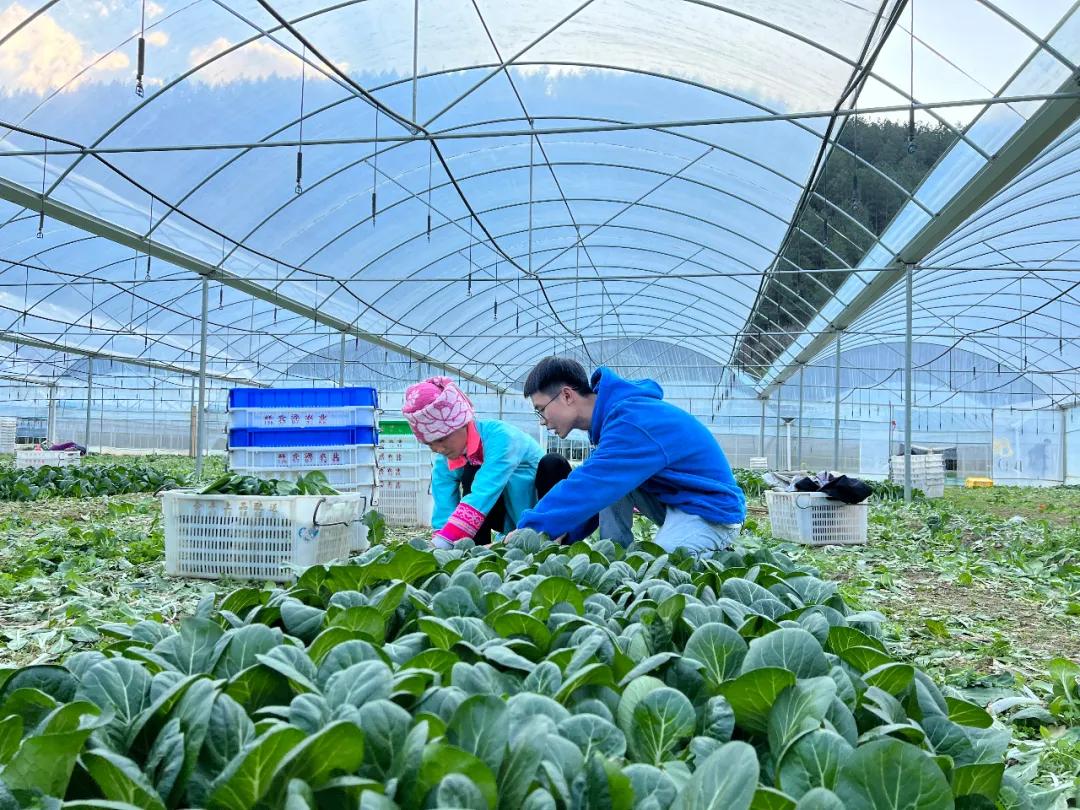 赣州二手房最新房源，科技助力，轻松掌握优质房源信息