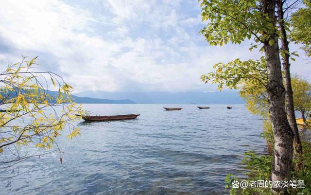 D50上市，自然美景探索之旅，心灵平静之旅启航