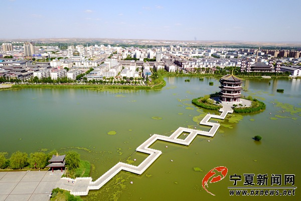 灵武新动态，变化中的学习之旅，自信与成就感的源泉