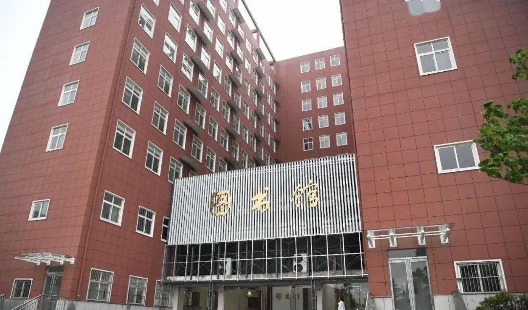 今日渭南，最新招聘信息与职场之喜与友情交织的温暖