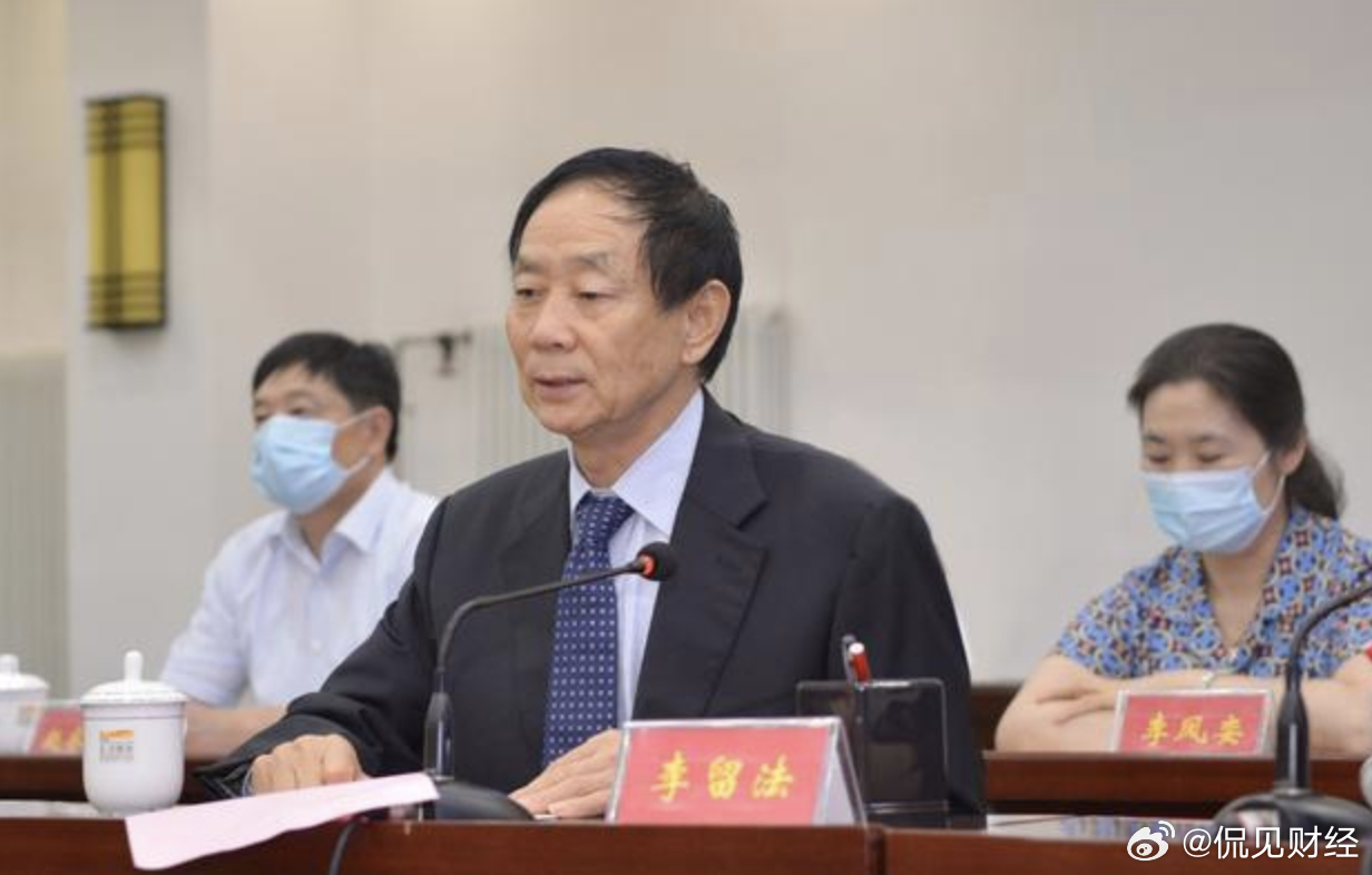 李留法最新消息与观点论述综述