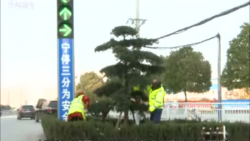 湖北大悟最新新闻报道