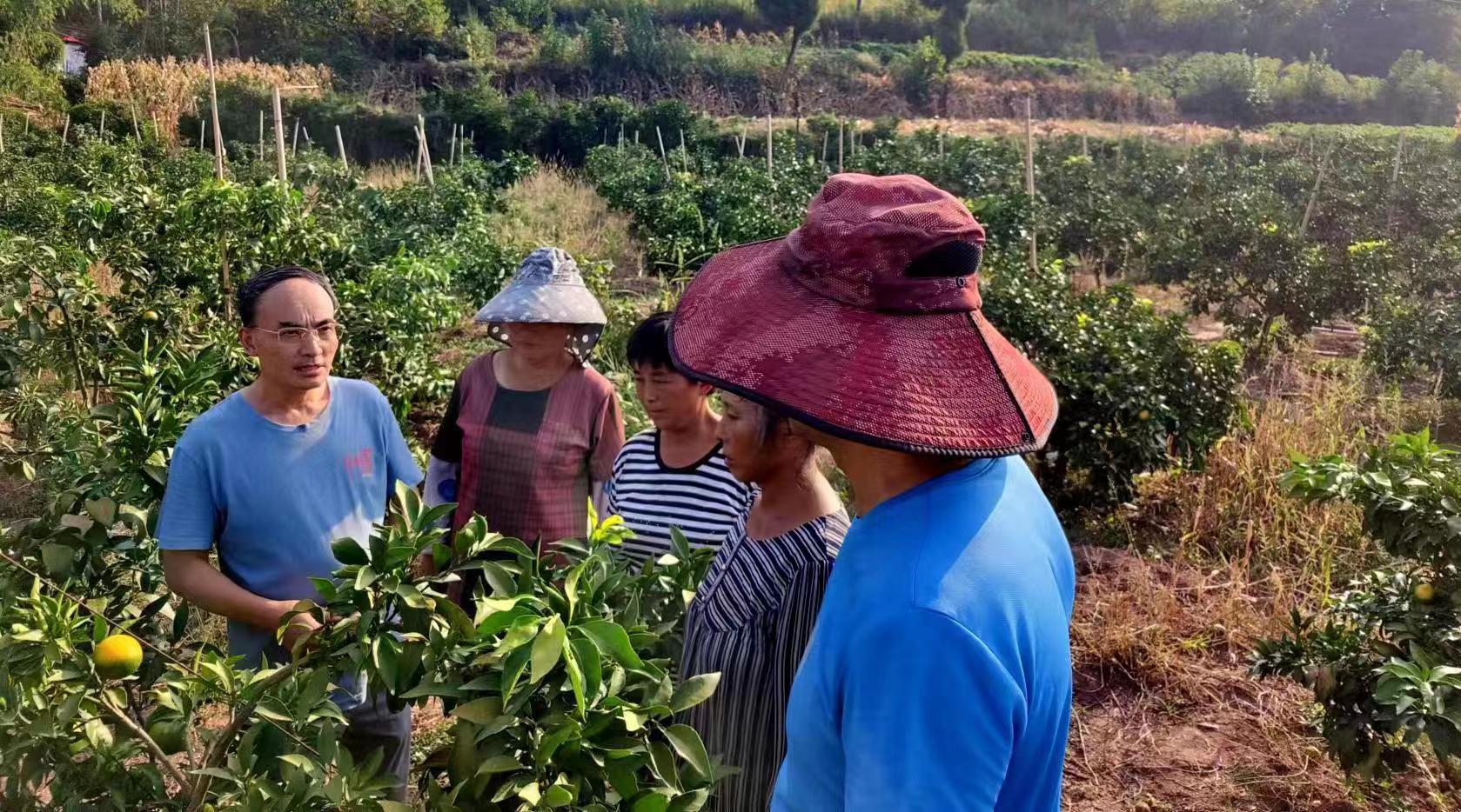 乐至宝石水库最新动态，自然美景的探索之旅，寻觅内心平和的旅程