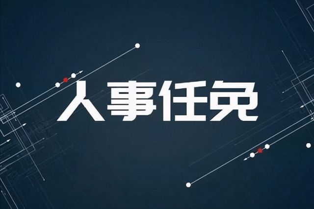 宁波最新人事任免及小巷深处的独特风味揭秘