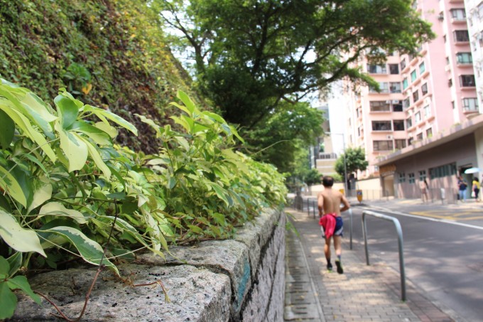 运城王殿民最新动态，探索自然美景，追寻内心平和之旅