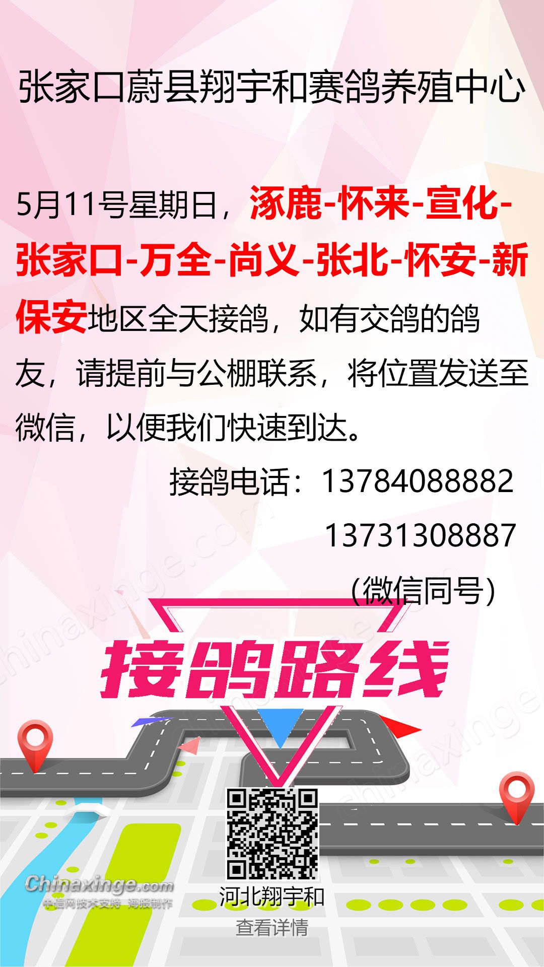 蔚县龙翔公棚最新动态揭秘，步骤指南与最新进展