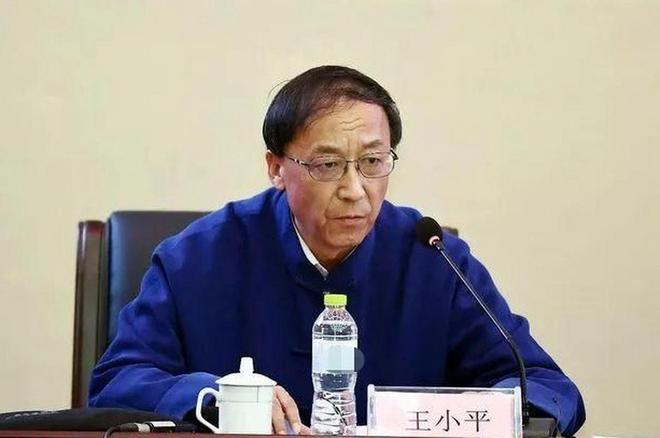 宁夏王平案最新进展深度分析与观点阐述