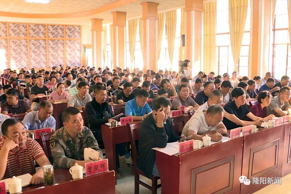 张迦茚最新动态，技能学习指南揭秘